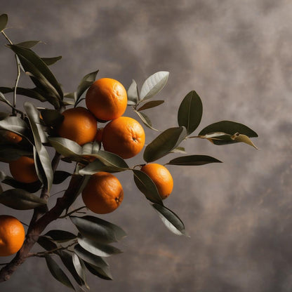 Zara image of a bergamot tree branch.
